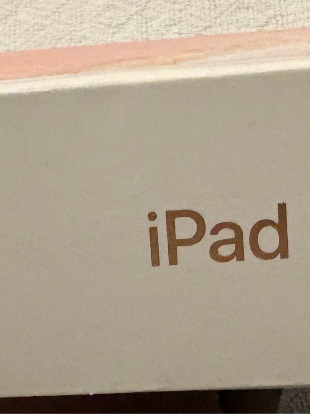 Apple iPad with Rose Gold Accented Logo